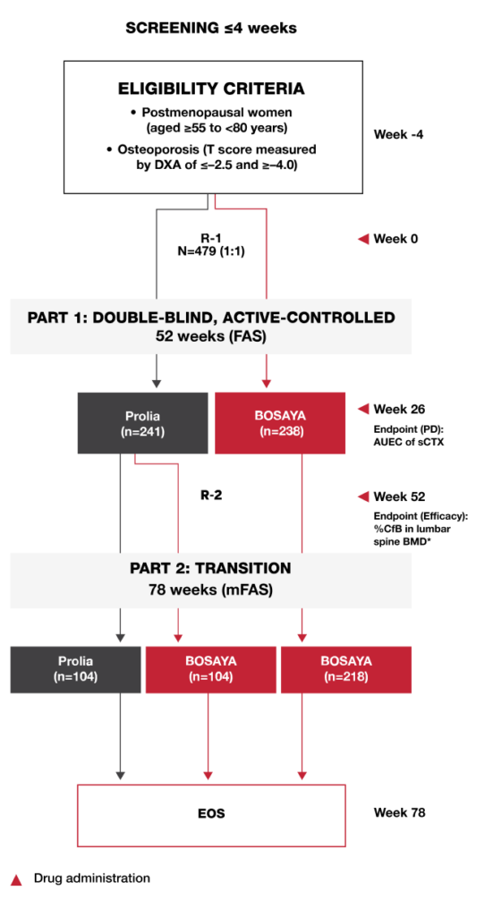Clinical study design diagram showing screening, randomization, treatment with Bosaya and Prolia, and transition through week 78.